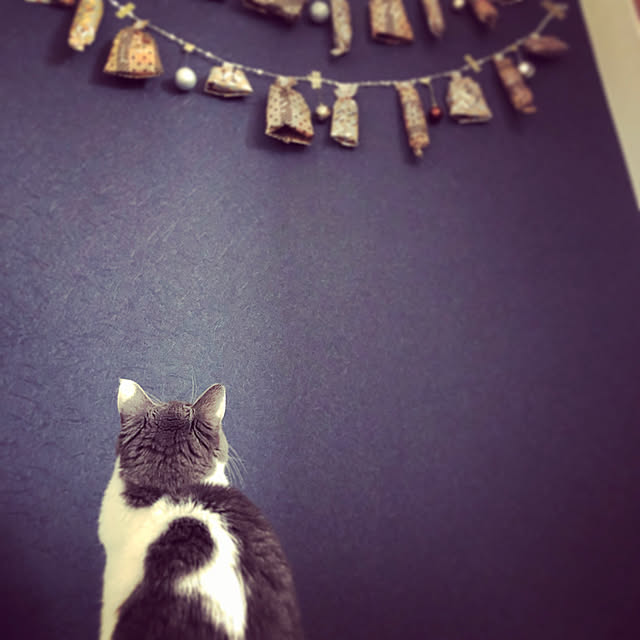 natuさんの実例写真