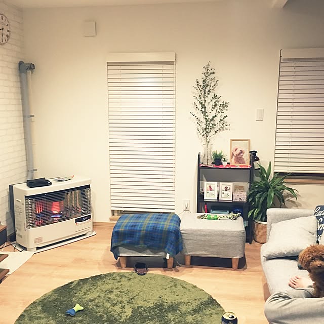 aaaairiさんの実例写真