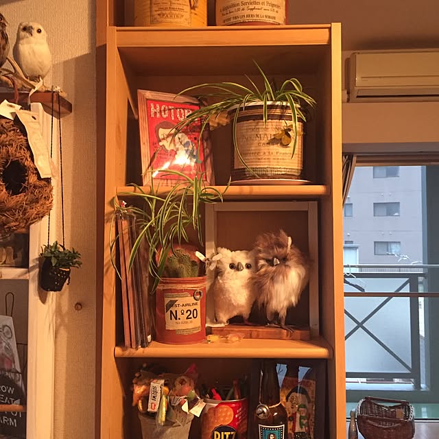 実例写真