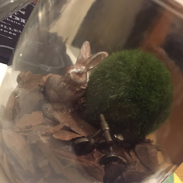 leonさんの実例写真