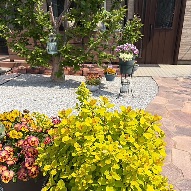 ronronさんの実例写真