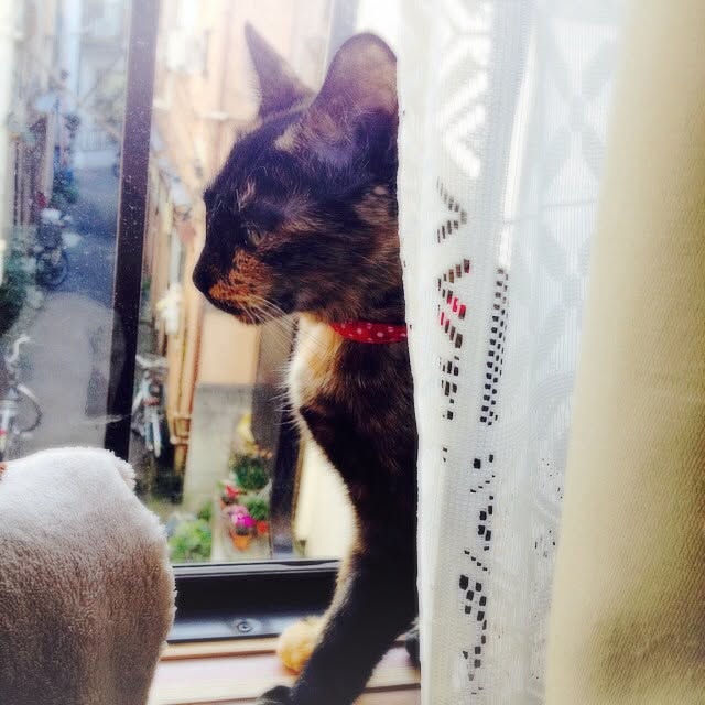 hilaさんの実例写真