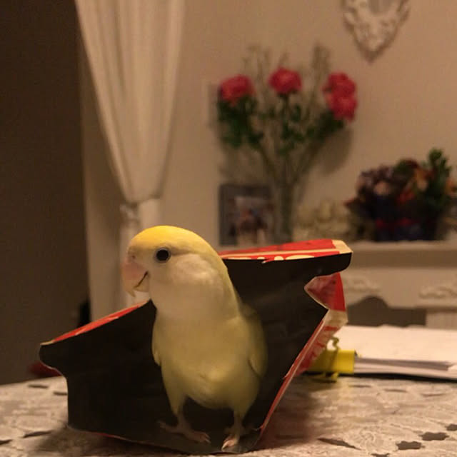 miyuさんの実例写真