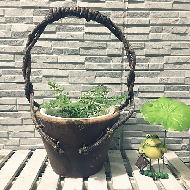 meguko.ryanさんの実例写真