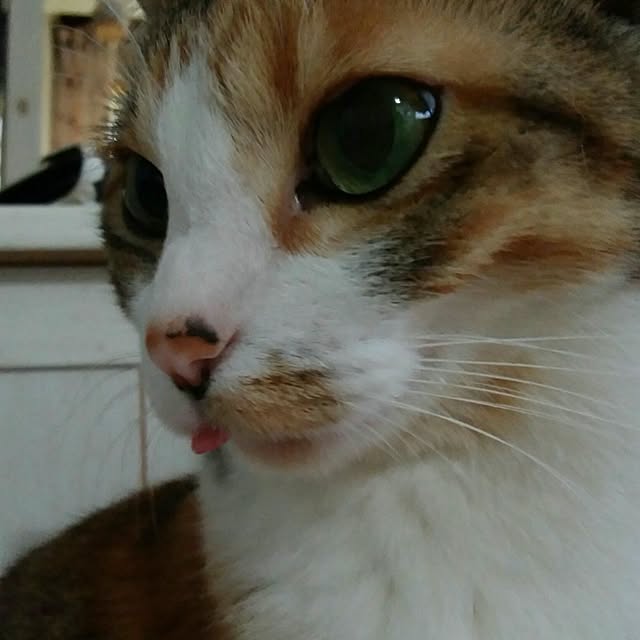 taleo07さんの実例写真