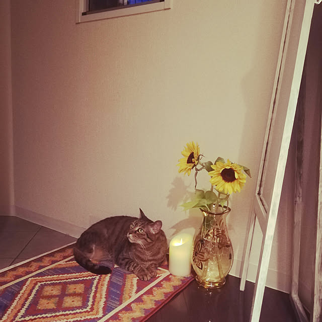 nahocさんの実例写真