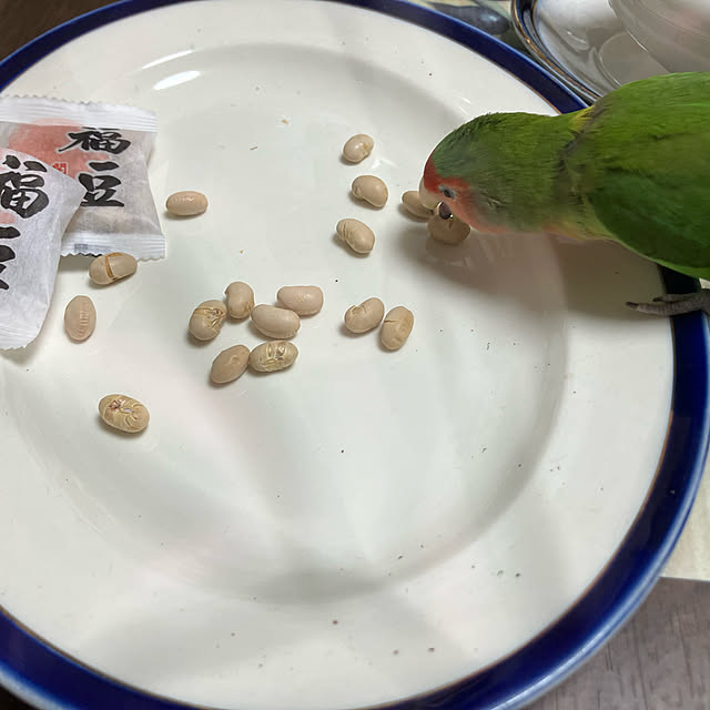 t.and.sakuraさんの実例写真