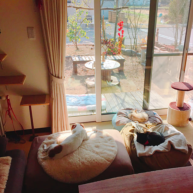 nanaさんの実例写真