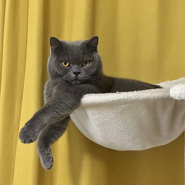 kittyさんの部屋