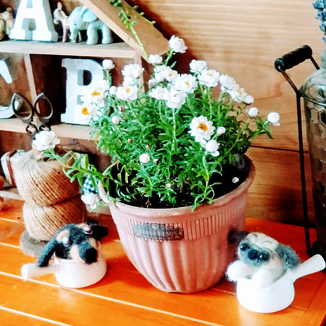 mayuさんの実例写真