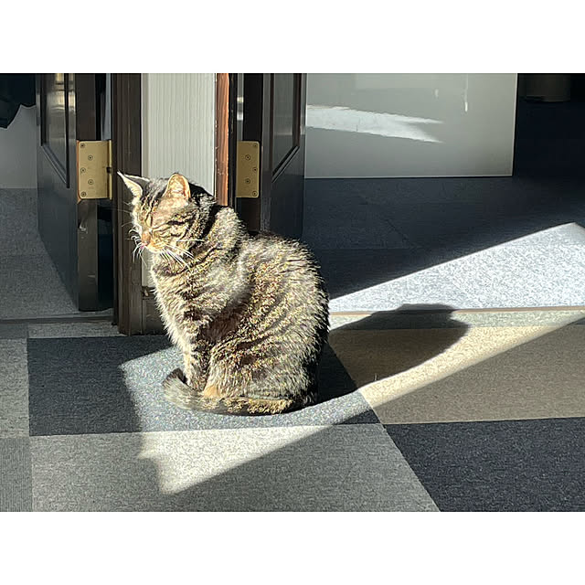 momocchiさんの実例写真