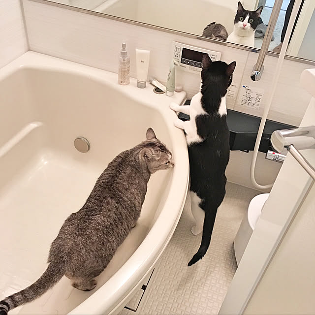 bikkeさんの実例写真