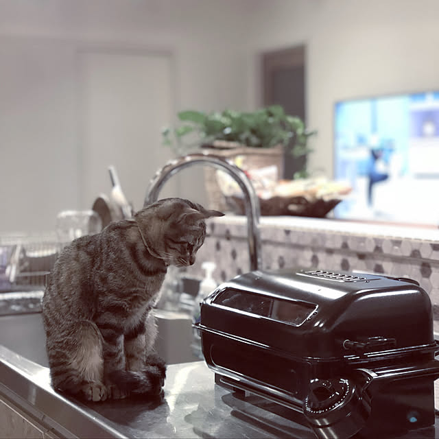 takakoさんの実例写真