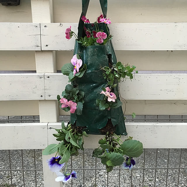 YUさんの実例写真