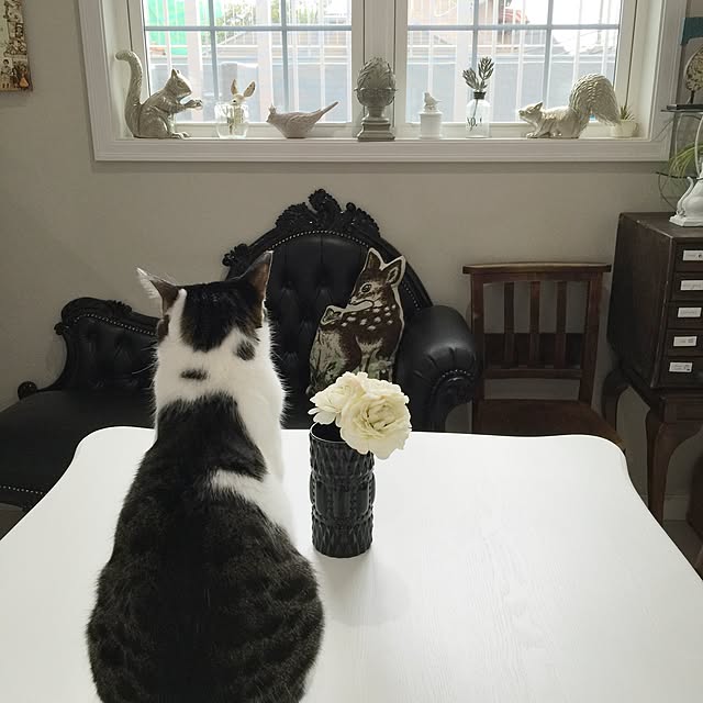 yuchiさんの実例写真