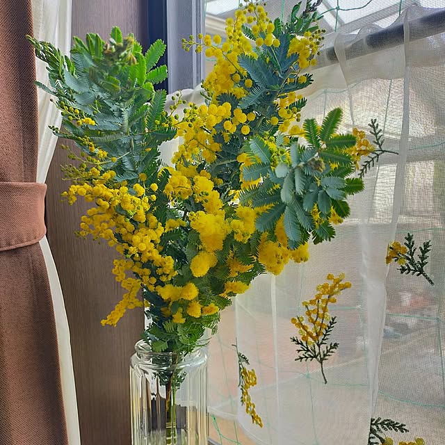 michiさんの実例写真