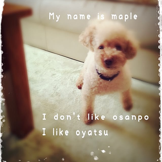 mapleさんの実例写真
