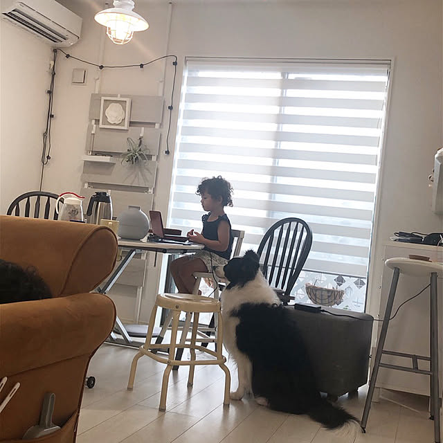ROMAさんの実例写真
