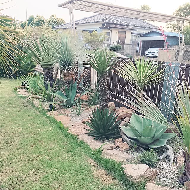ot-gardenさんの部屋