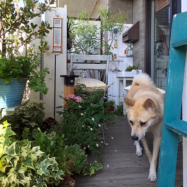 leonaさんの実例写真