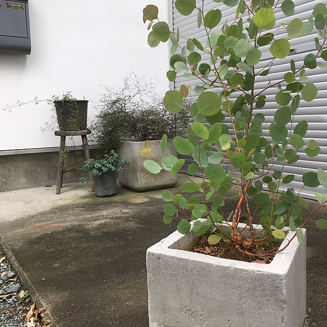 yukikoさんの実例写真