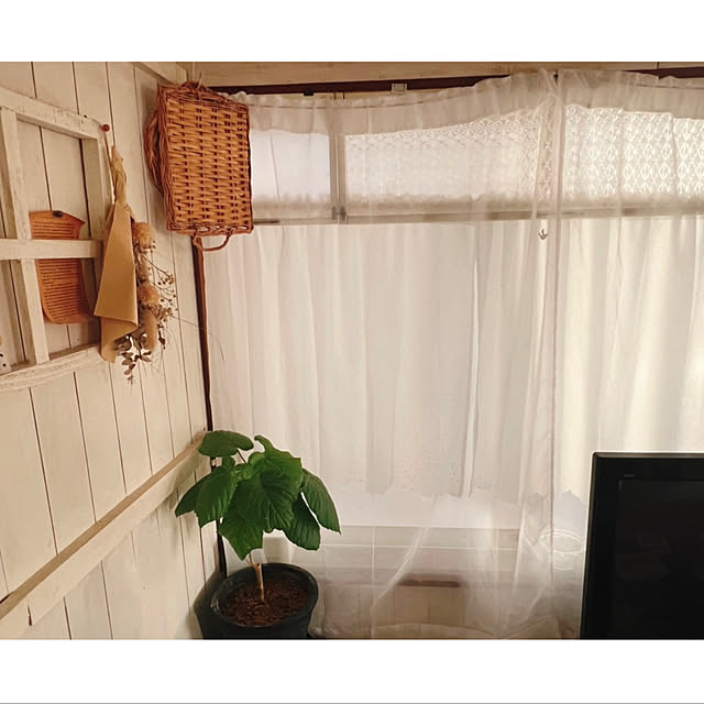 rookuさんの実例写真