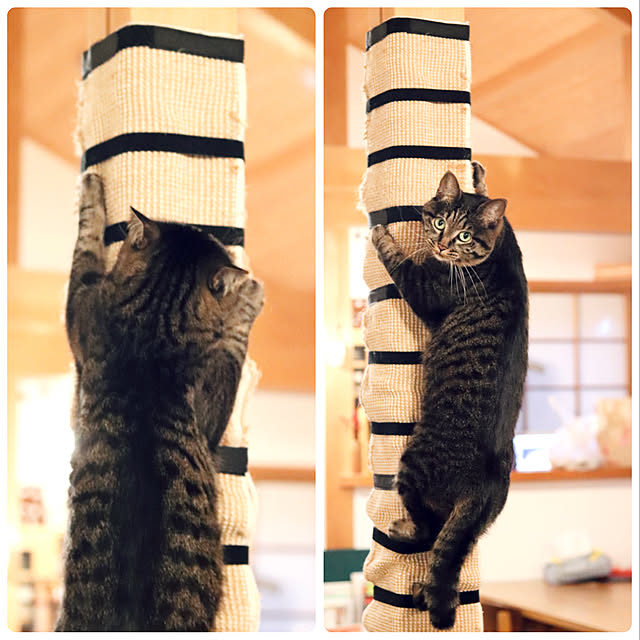 onsix777さんの実例写真