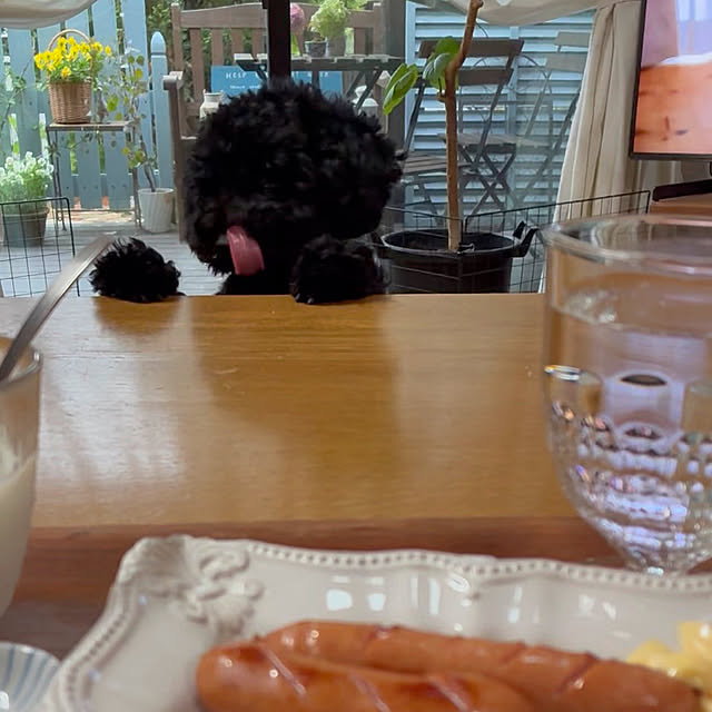 nscraftworksさんの実例写真