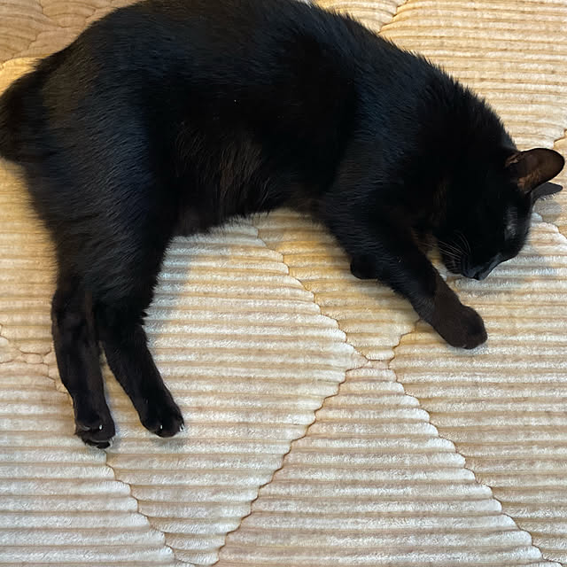 mutsuさんの実例写真