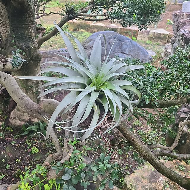 Rubiconさんの部屋