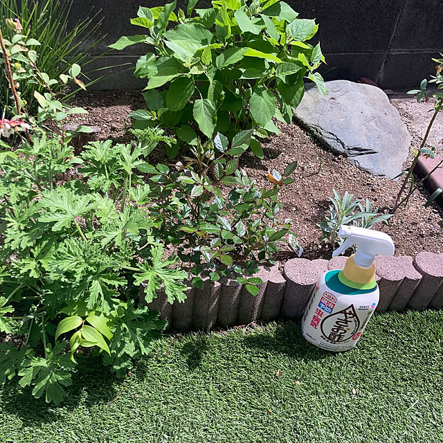 mamaさんの実例写真