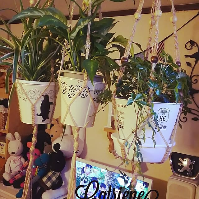 catriene0123さんの実例写真