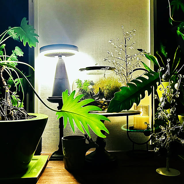 DAYONEさんの実例写真