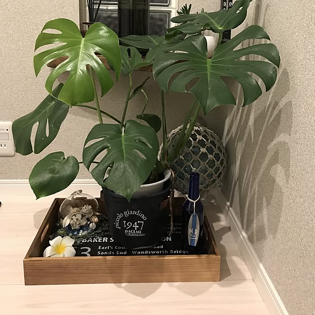 Saorinさんの実例写真