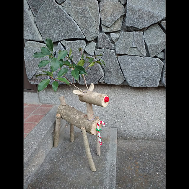 kougaitaさんの実例写真