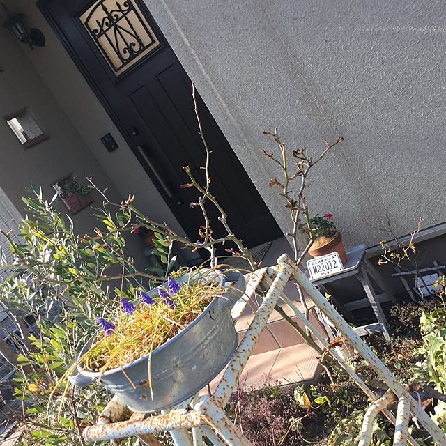 mippoko345さんの実例写真