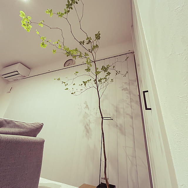 akosanさんの部屋