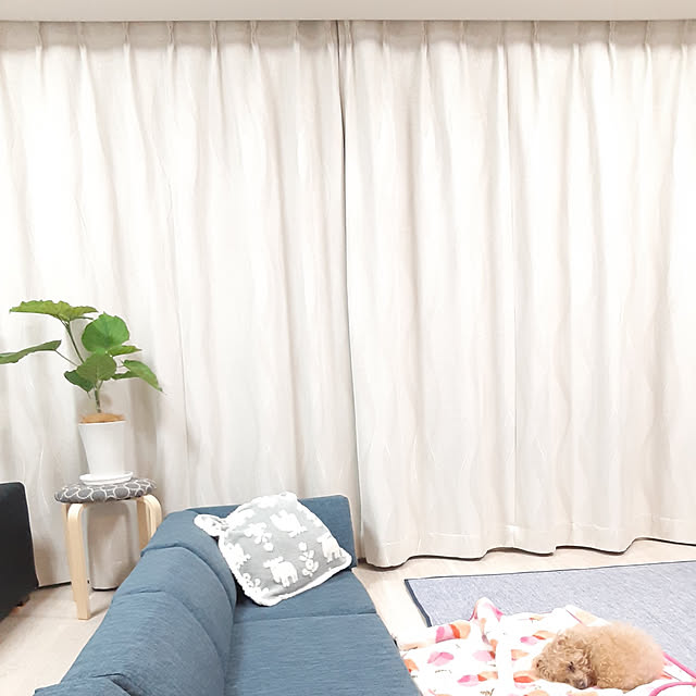mayt.sirさんの実例写真