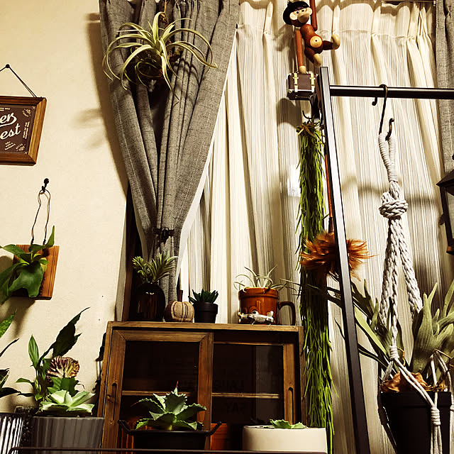 rintarotantan7さんの部屋