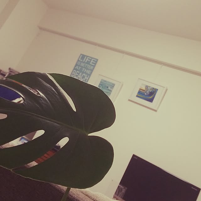 Mamoruさんの実例写真