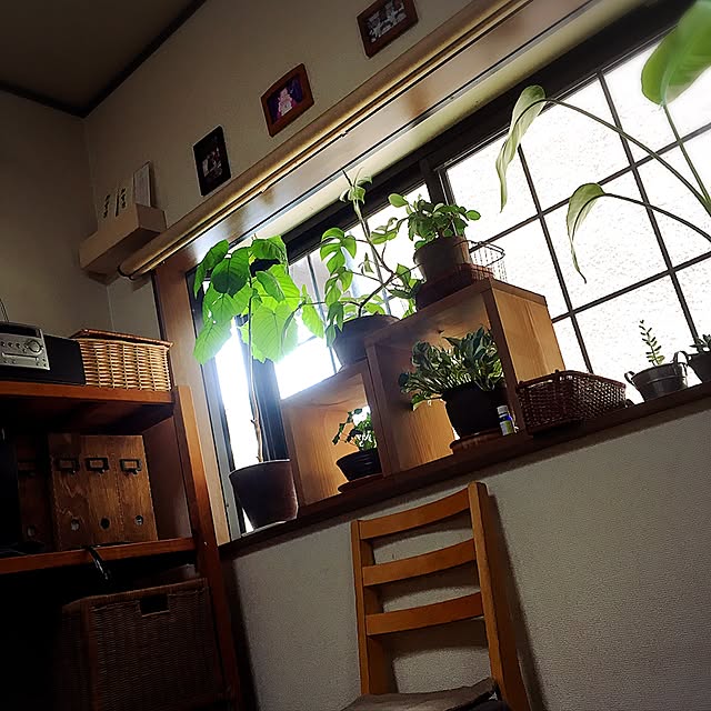 saya.iさんの実例写真