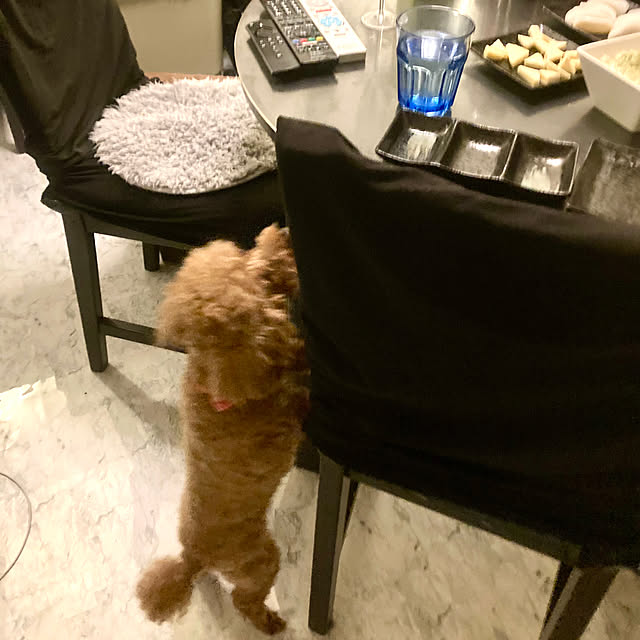 MOMOMAMAさんの部屋