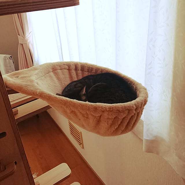 nachiさんの実例写真