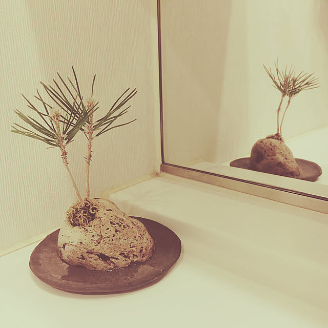 mmさんの実例写真