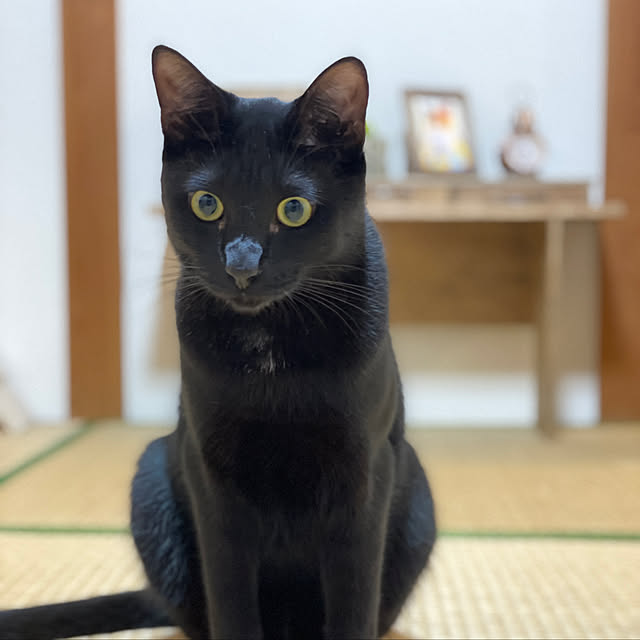 harukaさんの実例写真