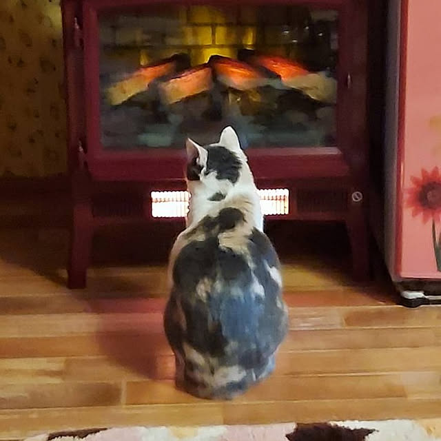 kumutanさんの実例写真