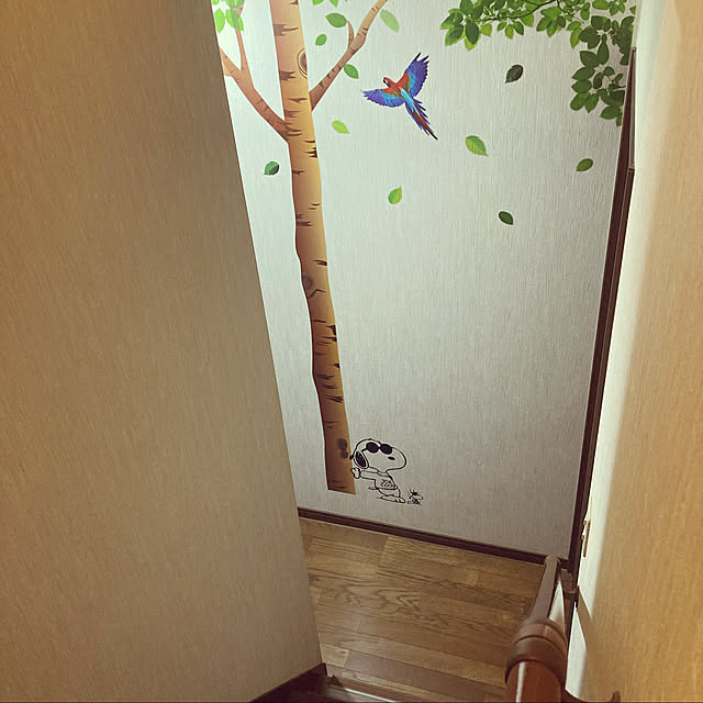 Tomokoさんの実例写真