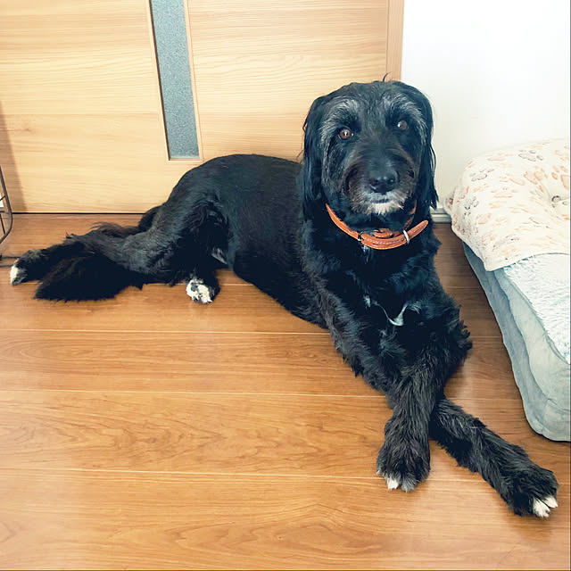 tomoさんの部屋