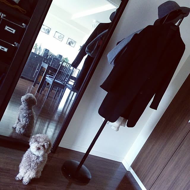 akoさんの実例写真