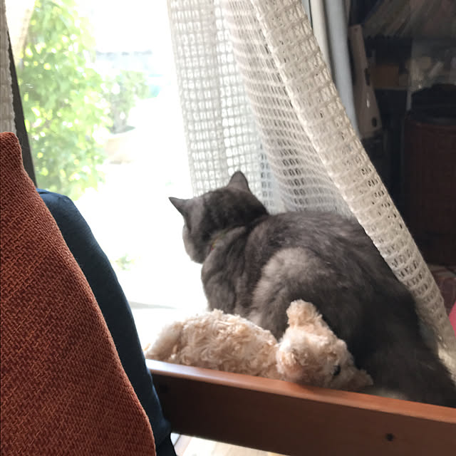 Marinさんの実例写真